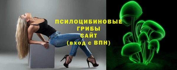 молекула духа Верхний Тагил