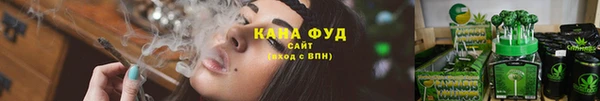 молекула духа Верхний Тагил