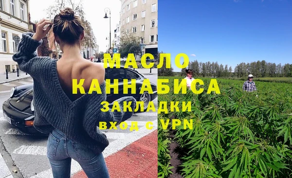 молекула духа Верхний Тагил