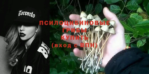 молекула духа Верхний Тагил