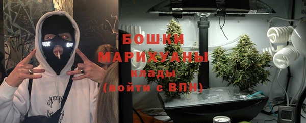 молекула духа Верхний Тагил