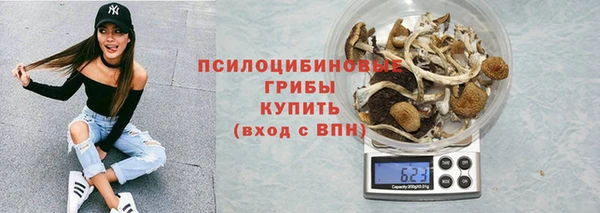 молекула духа Верхний Тагил
